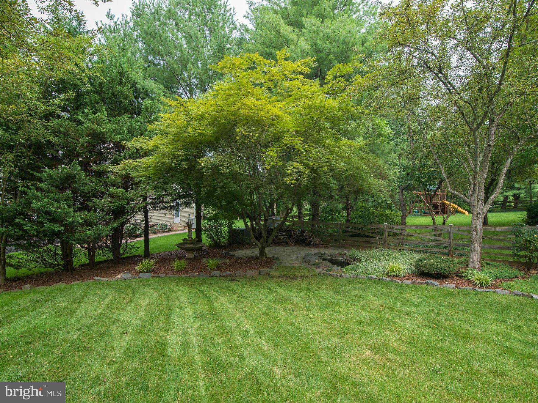 Established Neighborhood Brings Mature Trees
