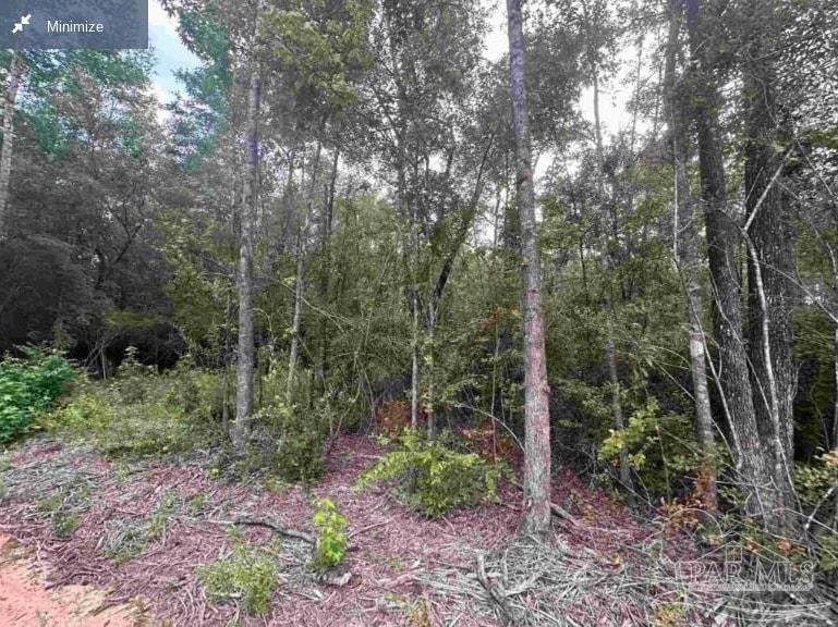 0 Bailly Road Milton, FL 32583 - Photo 1 of 3 a view of a forest that has large trees