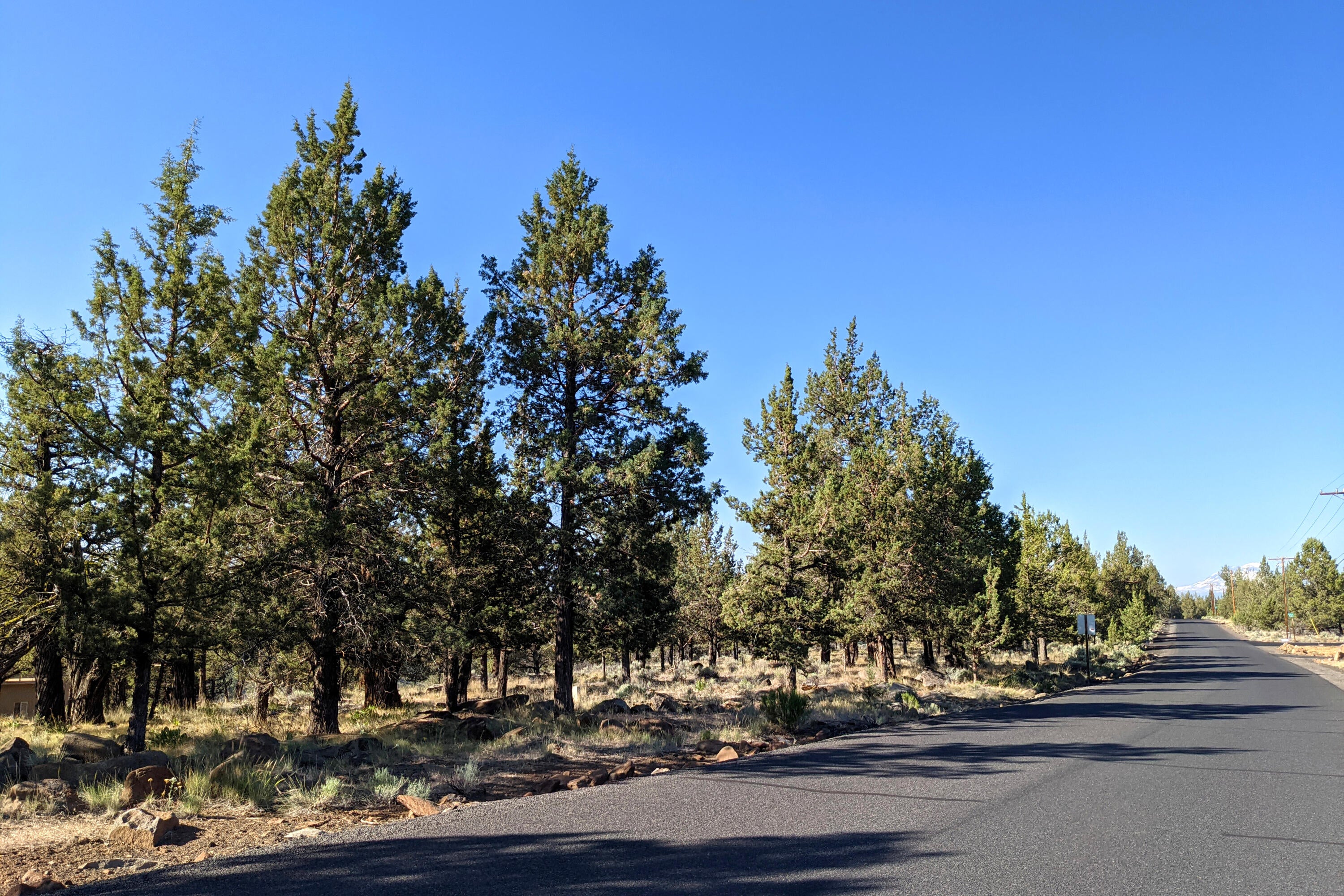 Mountain View Road
