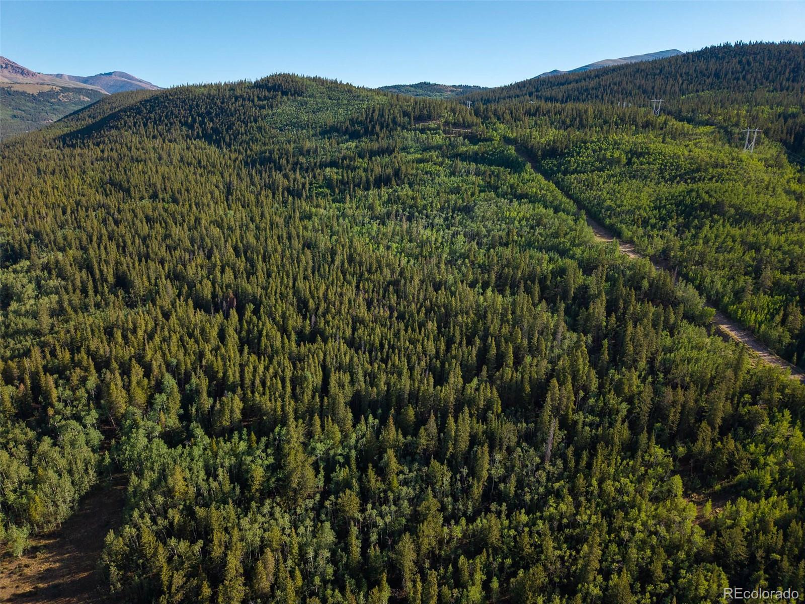 Lot 1 Snow Cap Peaks Road Fairplay, CO 80440 - Photo 8 of 20