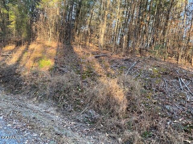 26 Pleasant Valley Road Cosby, TN 37722 - Photo 6 of 11