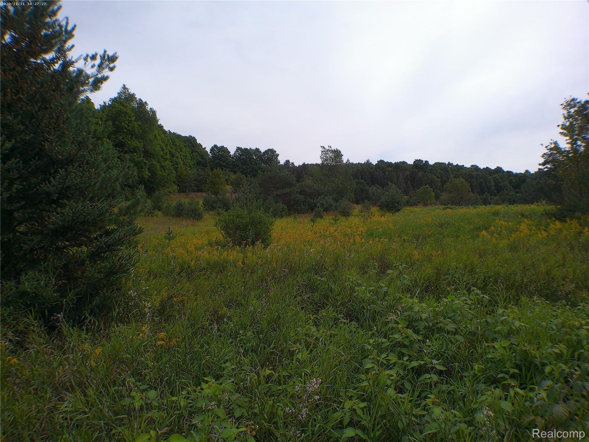 0 North 27th Road Mesick, MI 49668 - Photo 11 of 14 ANMP0265.jpg