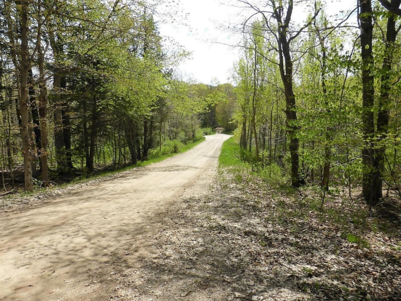 3876 Cooper Road Beulah, MI 49617 - Photo 12 of 45 P1120129 (Custom)
