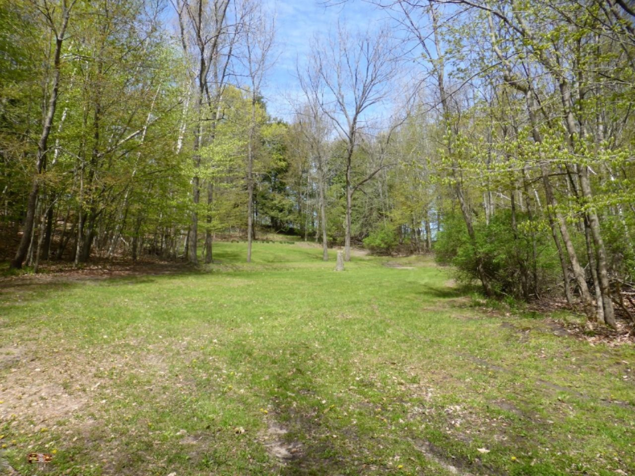 3876 Cooper Road Beulah, MI 49617 - Photo 18 of 45 P1120135 (Custom)