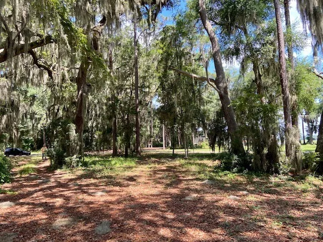 $225,000 | Lot 27 Northeast Brittem Way Northeast, Townsend, GA 31331