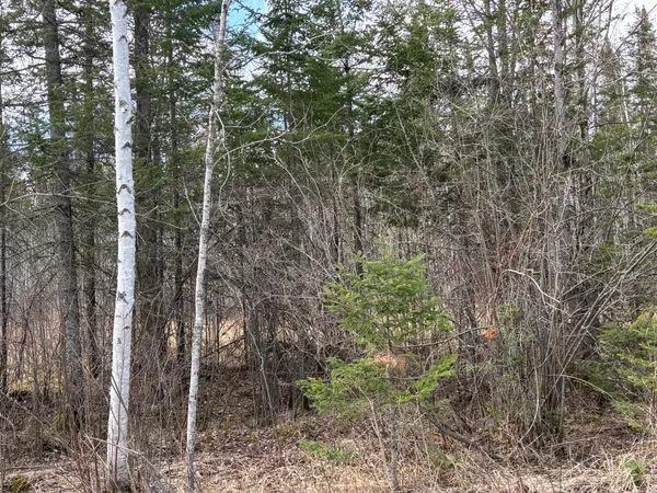 $69,000 | 5358 East 4 Corners Road, Cromwell, MN 55726