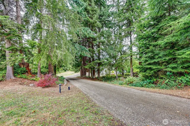 a park view with large trees