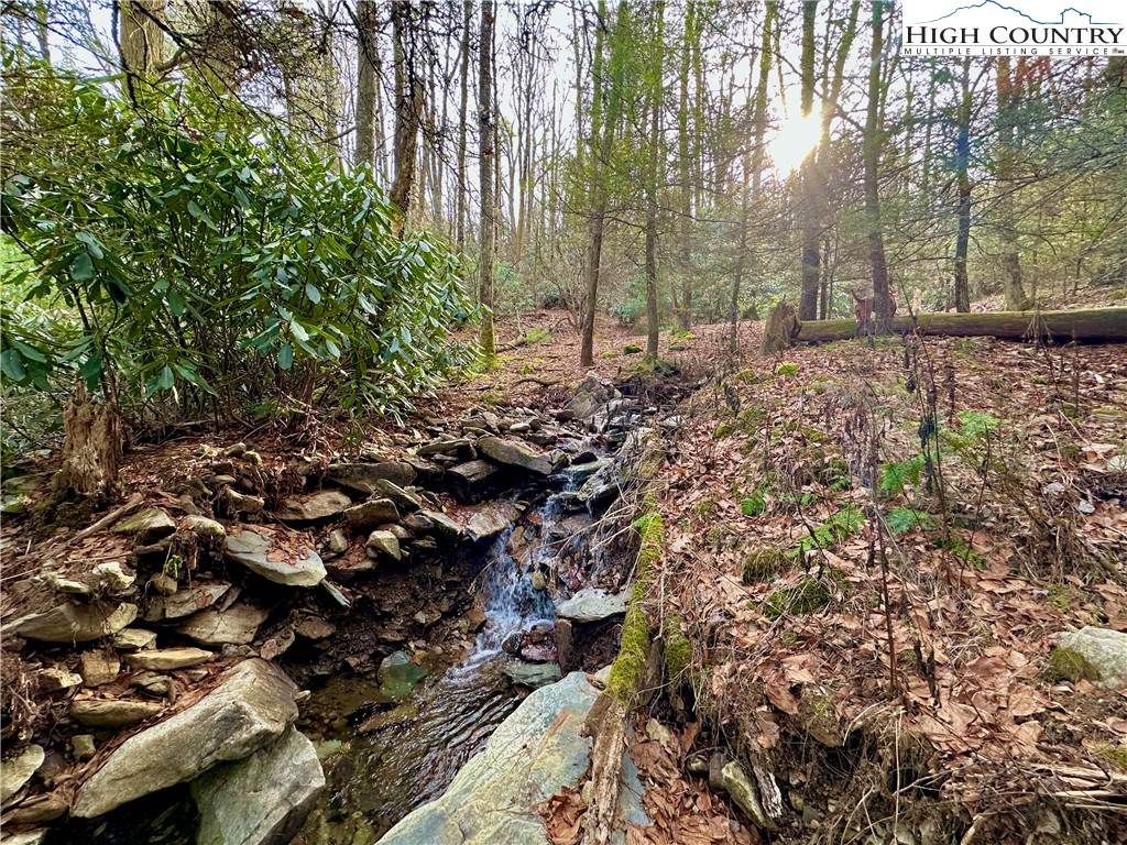 Don Hayes Road Boone, NC 28607 - Photo 13 of 26 Gallery Image 13