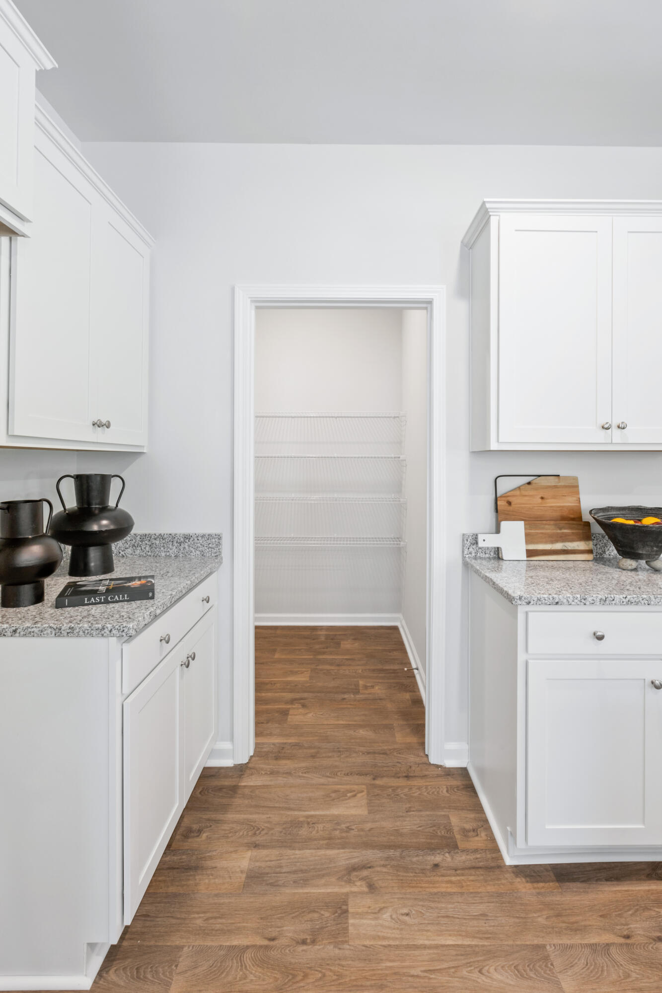 223 Wild Strawberry Lane Moncks Corner, SC 29461 - Photo 12 of 42 Robie Interior9