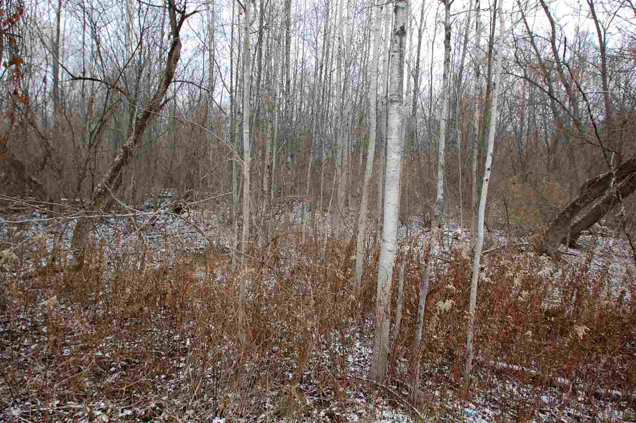 14 Griffin Road West Branch, MI 48661 - Photo 3 of 7