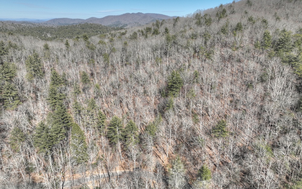 96-acres Big Creek Road Blue Ridge, GA 30513 - Photo 14 of 51 Additional View