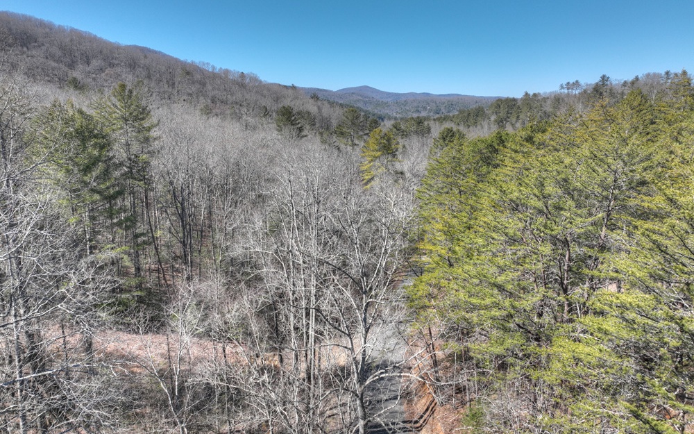96-acres Big Creek Road Blue Ridge, GA 30513 - Photo 3 of 51 Additional View