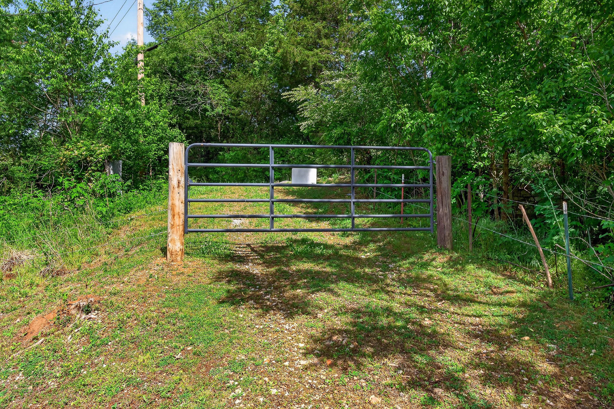 3754 Alexandria To Dismal Road Liberty, TN 37095 - Photo 38 of 42 Gallery Image 38