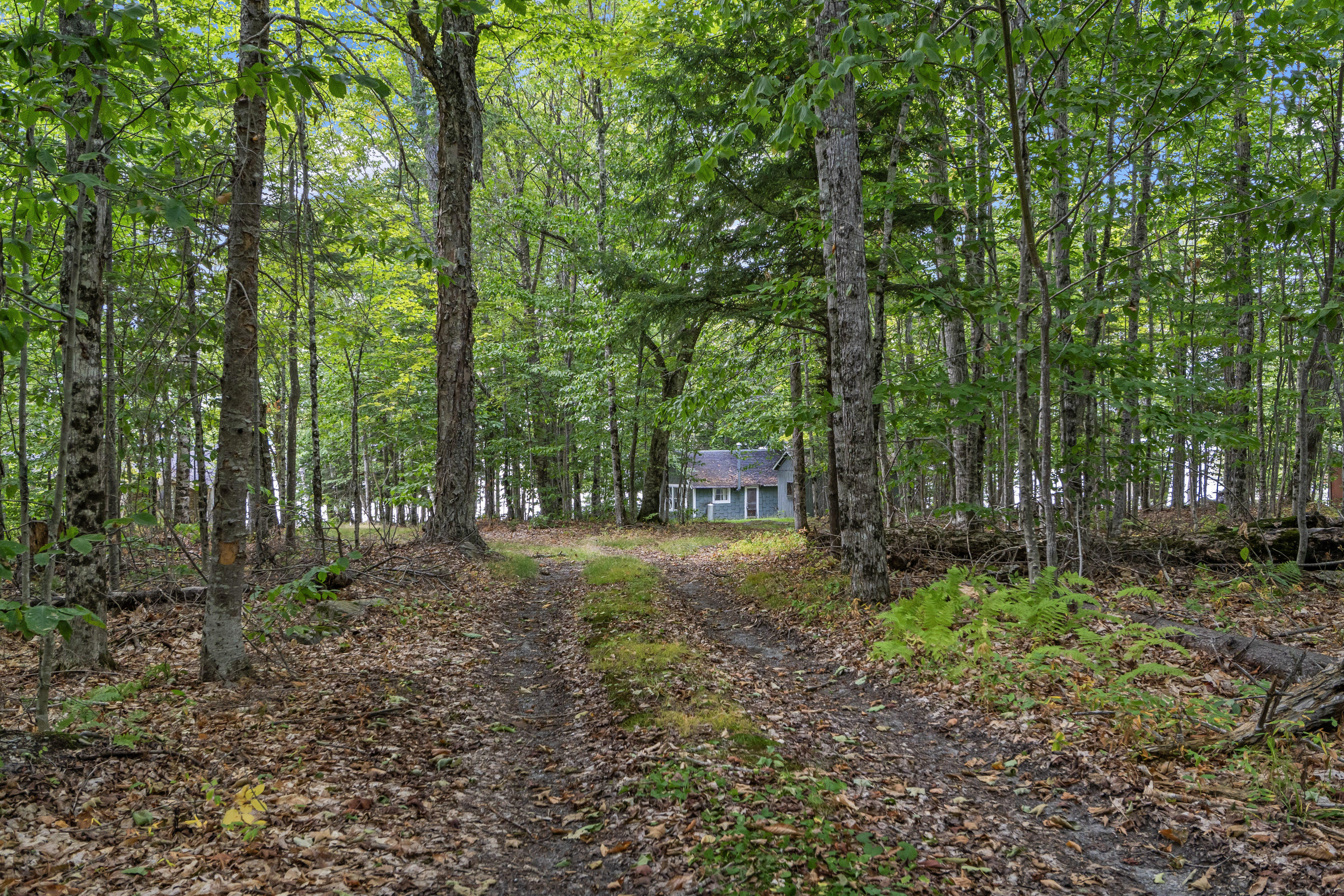 Lot 32 Ross Farm Road Greenville, ME 04441 - Photo 47 of 69 Lot 32 Ross Farm Rd_142