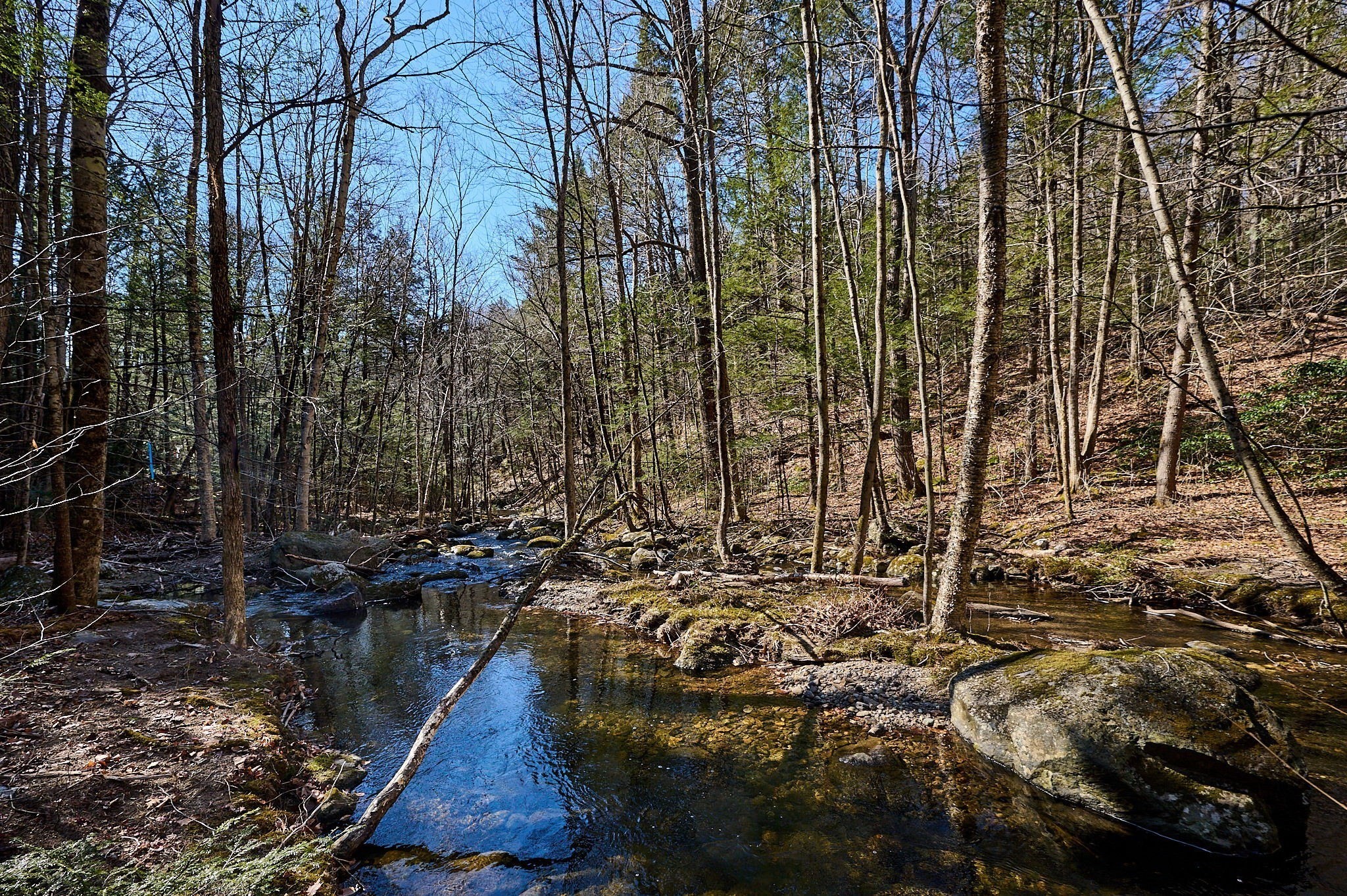 0 Pine Hill Road Russell, MA 01071 - Photo 11 of 15 Gallery Image 11