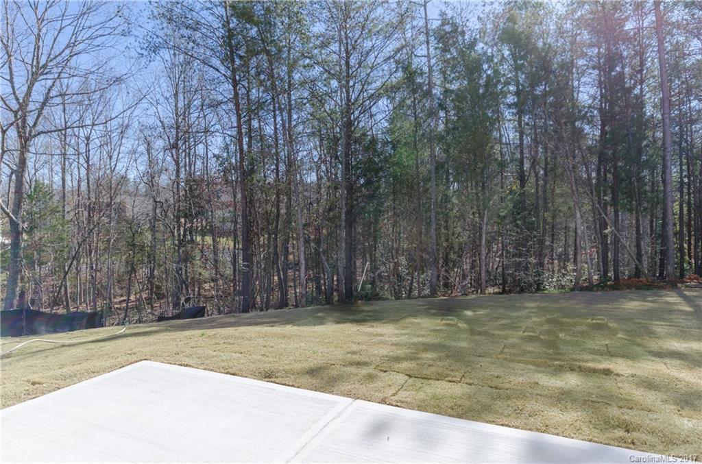367 Ayers Road Fort Mill, SC 29715 - Photo 11 of 24 Gallery Image 11