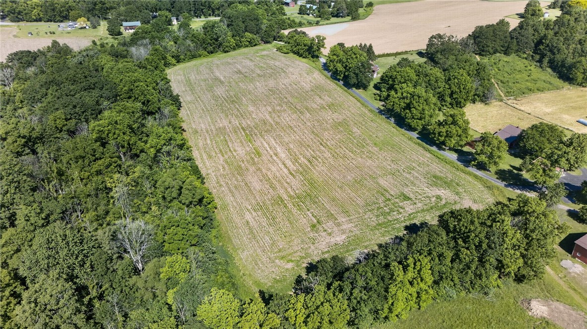 Cramer Road Canandaigua, NY 14424 - Photo 40 of 47