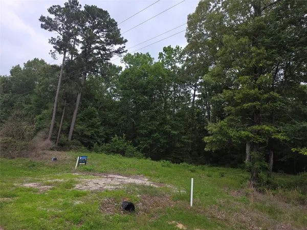 $24,000 | Tbd Hidden Oaks Drive, Point Blank, TX 77364