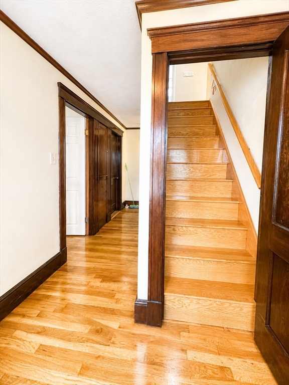 19 Cavanaugh Road Braintree, MA 02184 - Photo 28 of 36