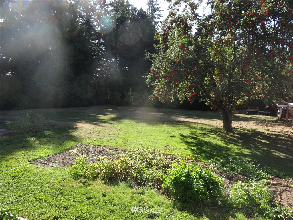 205 West Pole Road Lynden, WA 98264 - Photo 14 of 17
