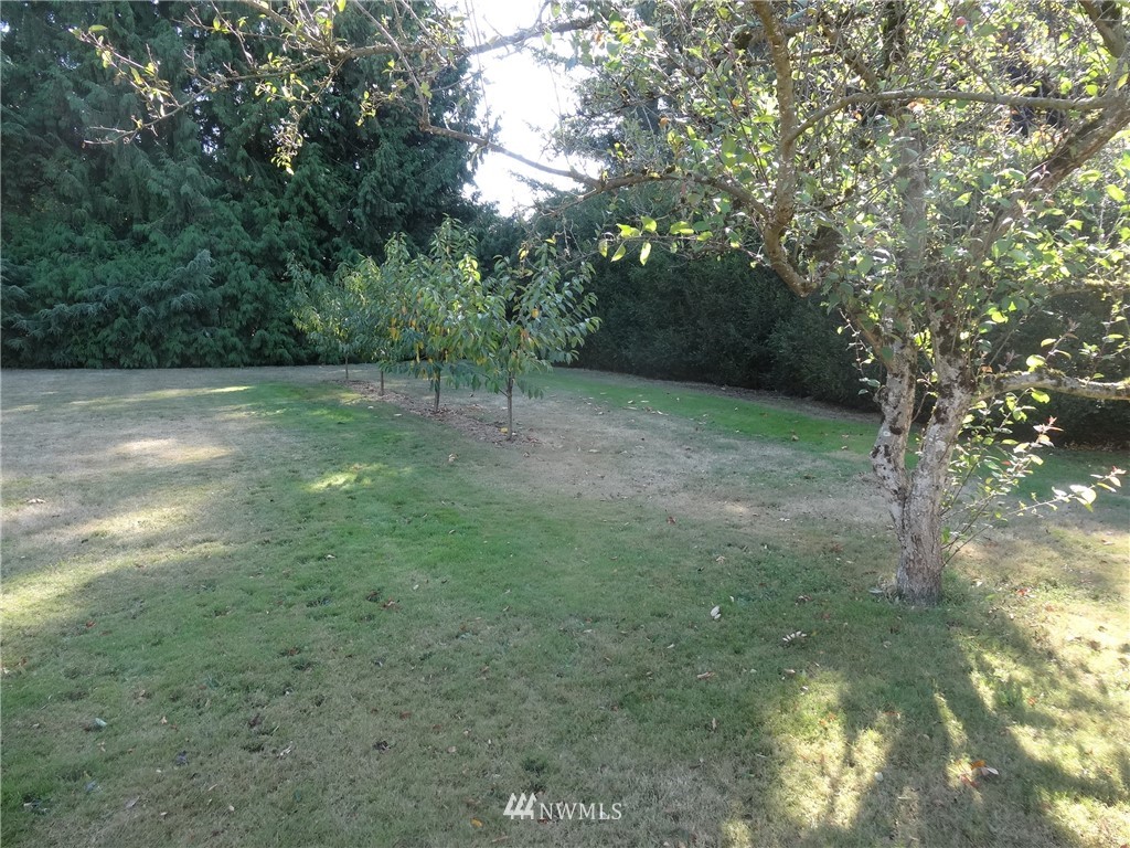 205 West Pole Road Lynden, WA 98264 - Photo 15 of 17