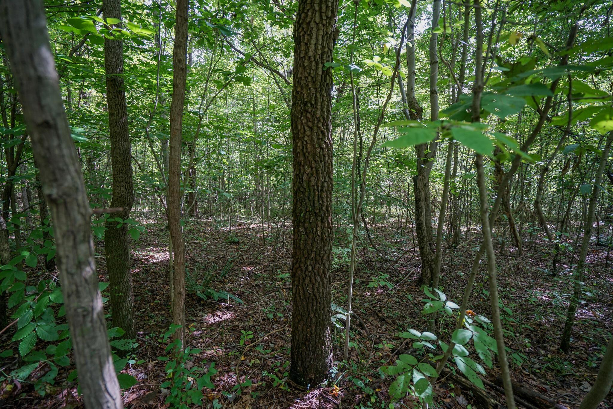 0 Kottcamp Road Hamden, OH 45634 - Photo 50 of 56 DSC09367
