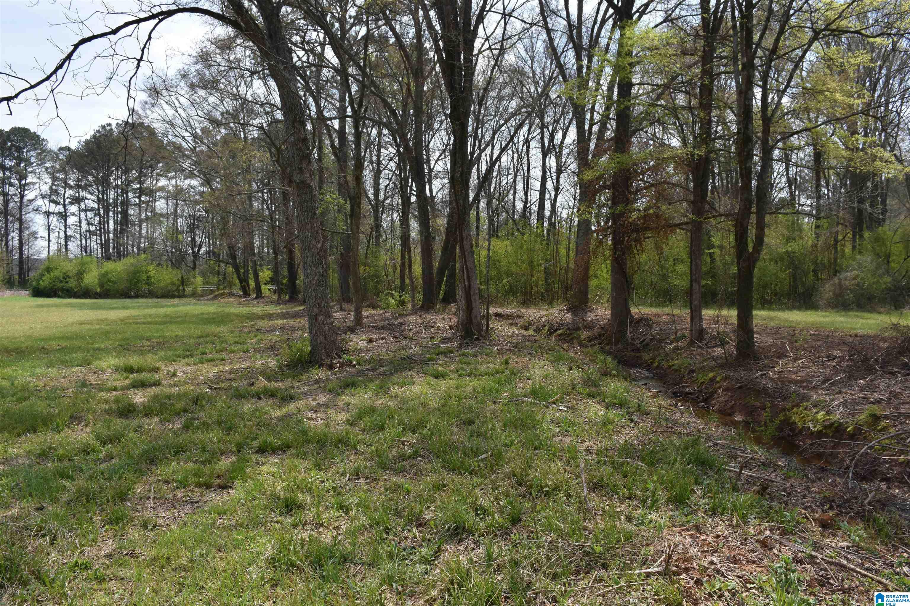 2323 Motes Road Sylacauga, AL 35150 - Photo 6 of 6