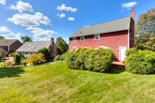 a view of a backyard with plants