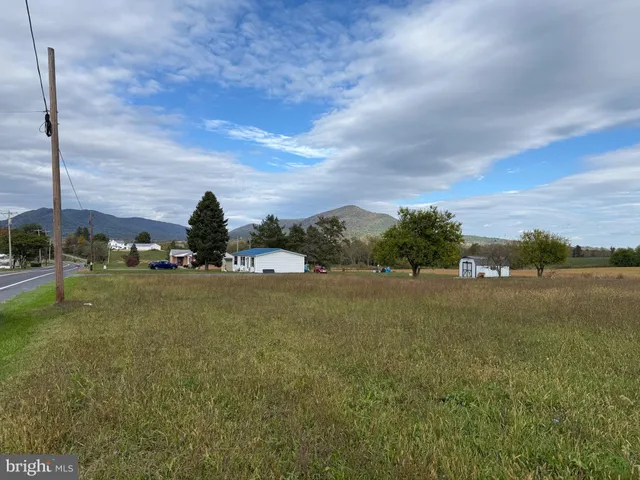 a view of a field with an trees