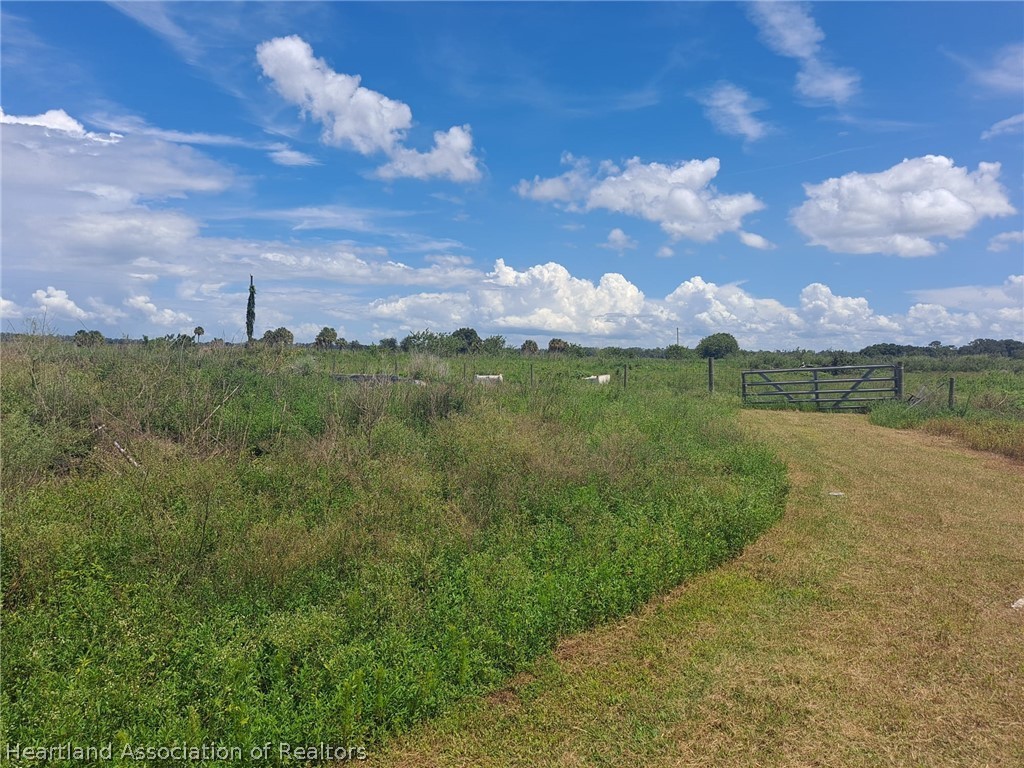 1006 Leavy North Road Zolfo Springs, FL 33890 - Photo 35 of 36 Gallery Image 35