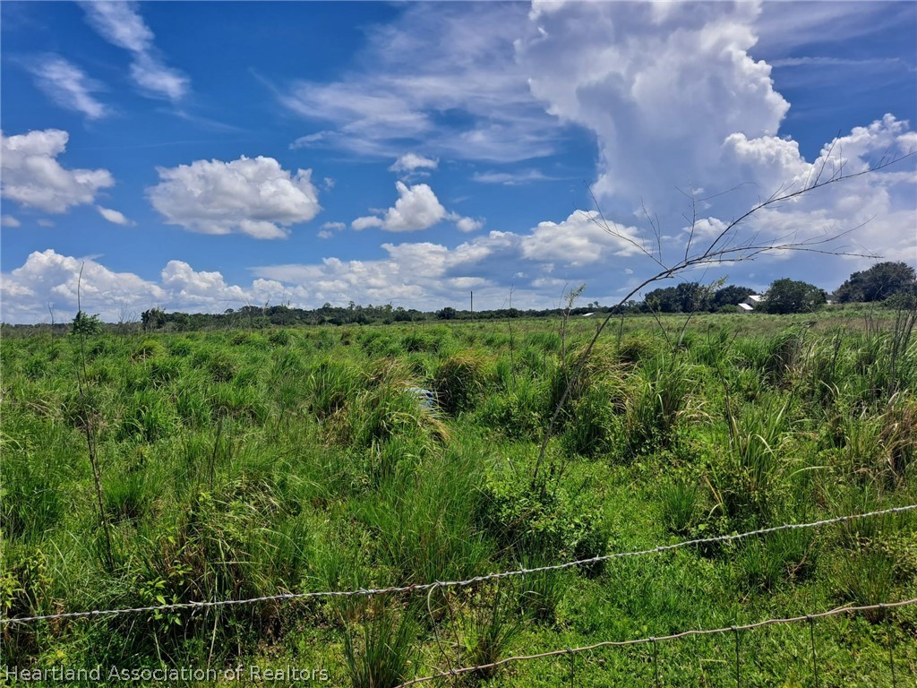 1006 Leavy North Road Zolfo Springs, FL 33890 - Photo 36 of 36 Gallery Image 36