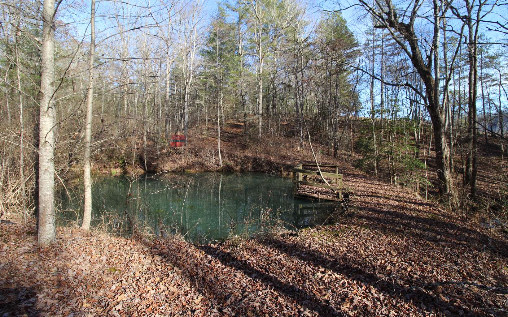 490 Nichols Road Murphy, NC 28906 - Photo 2 of 31 Additional View