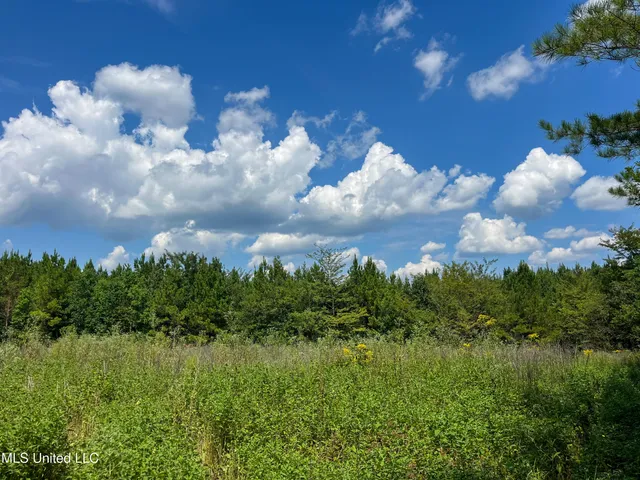 $396,000 | Ms-13, Morton, MS 39117