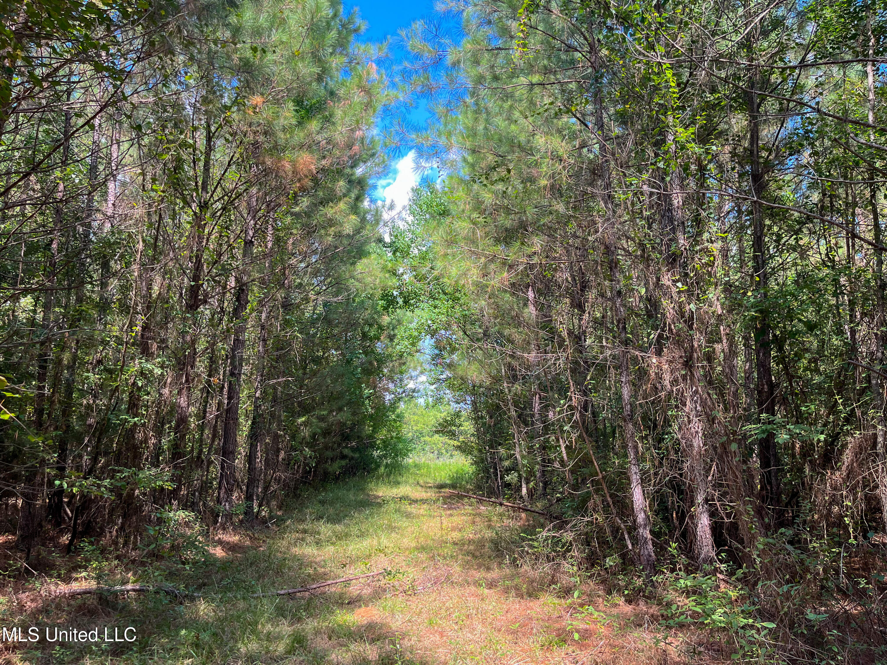 Ms-13 Morton, MS 39117 - Photo 15 of 45 IMG_0805