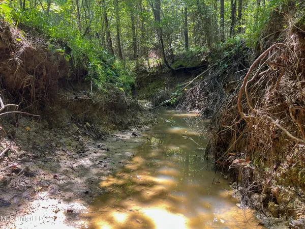 $396,000 | Ms-13, Morton, MS 39117