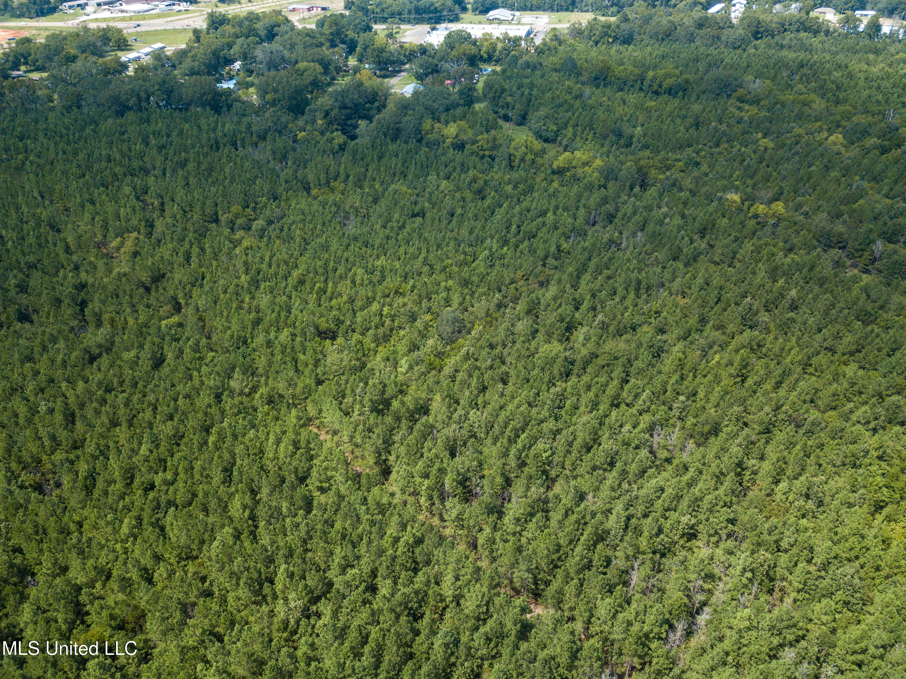 Ms-13 Morton, MS 39117 - Photo 19 of 45 DJI_0603