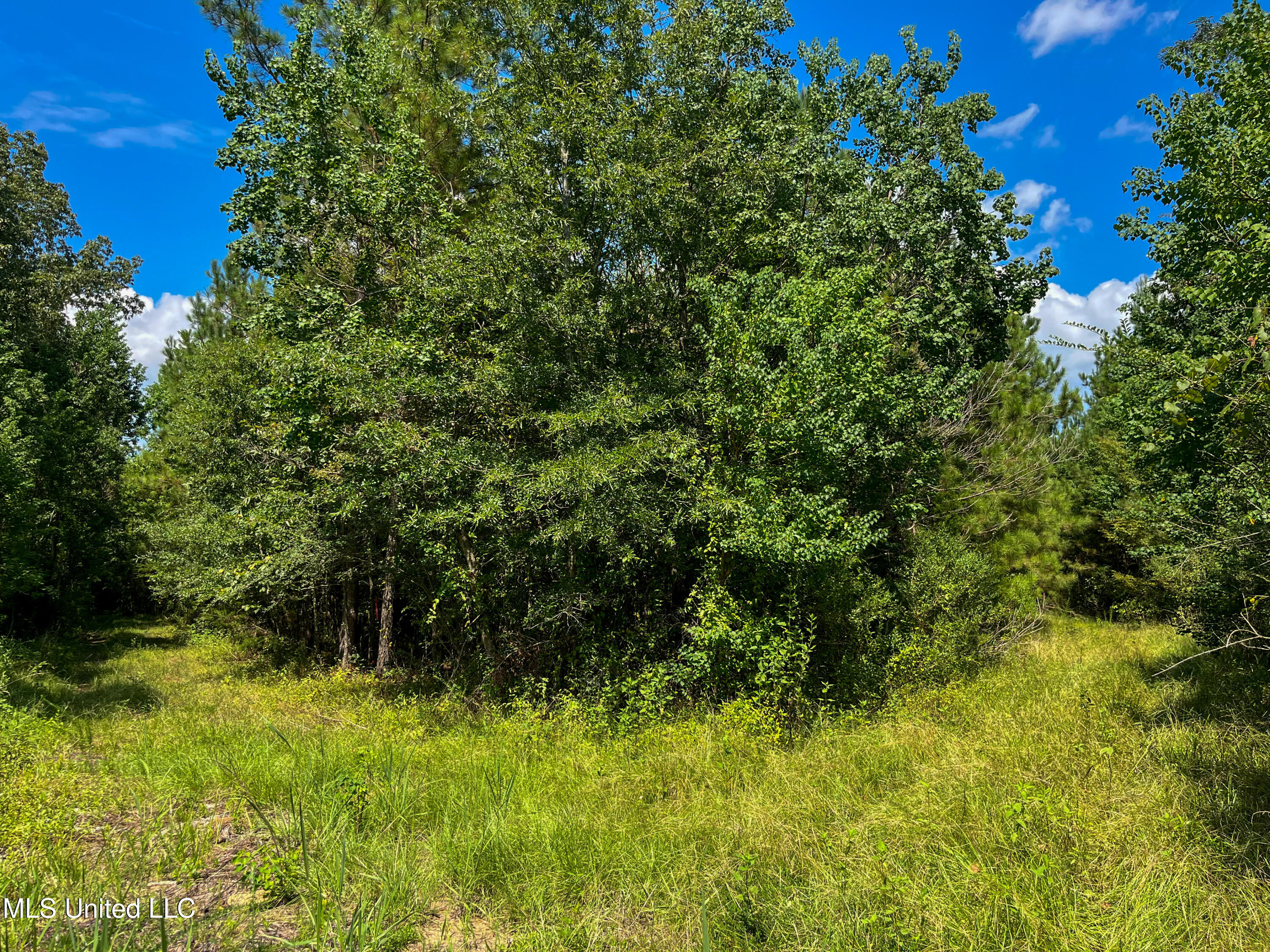 Ms-13 Morton, MS 39117 - Photo 20 of 45 IMG_0801