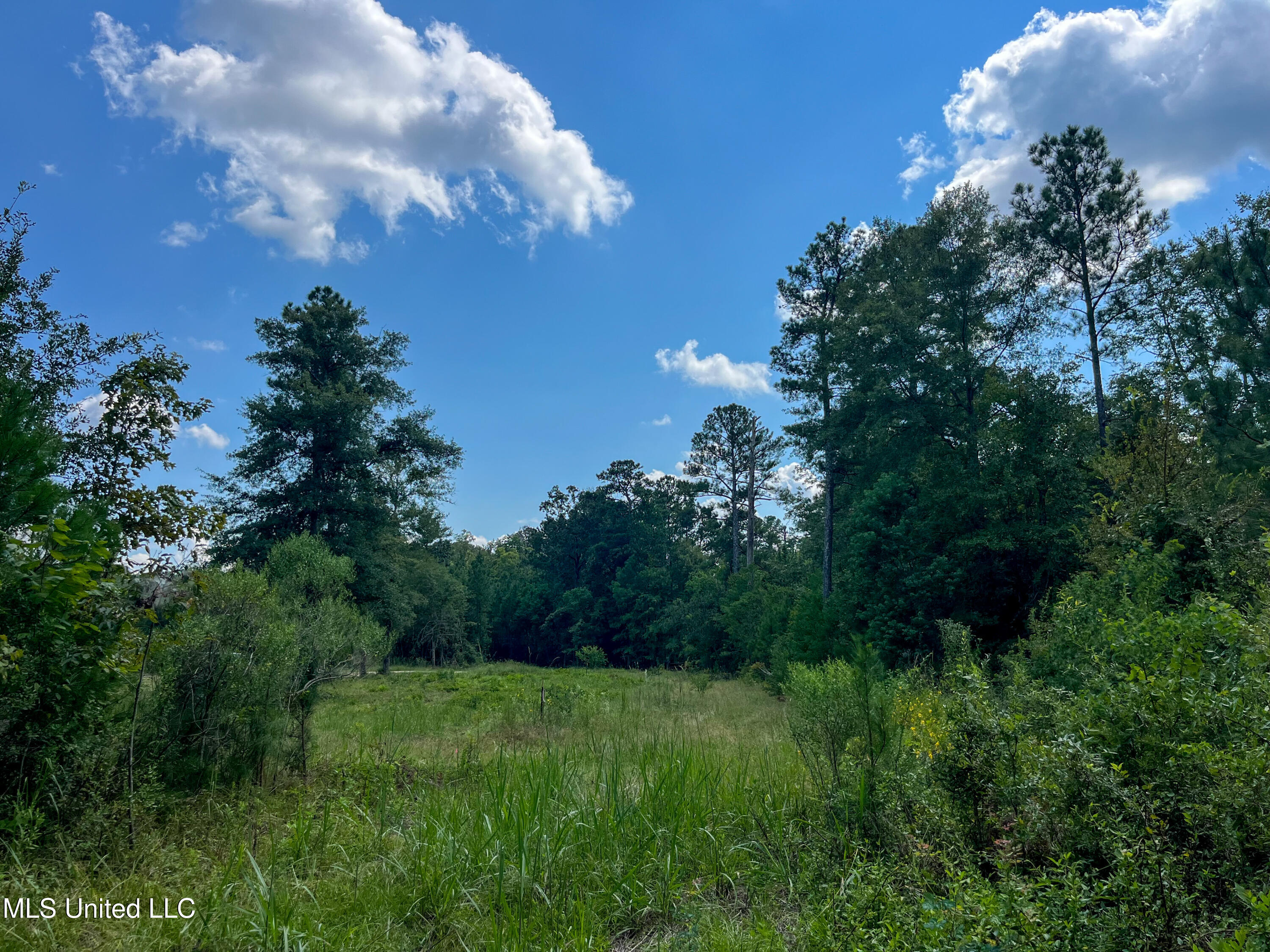 Ms-13 Morton, MS 39117 - Photo 21 of 45 IMG_0822