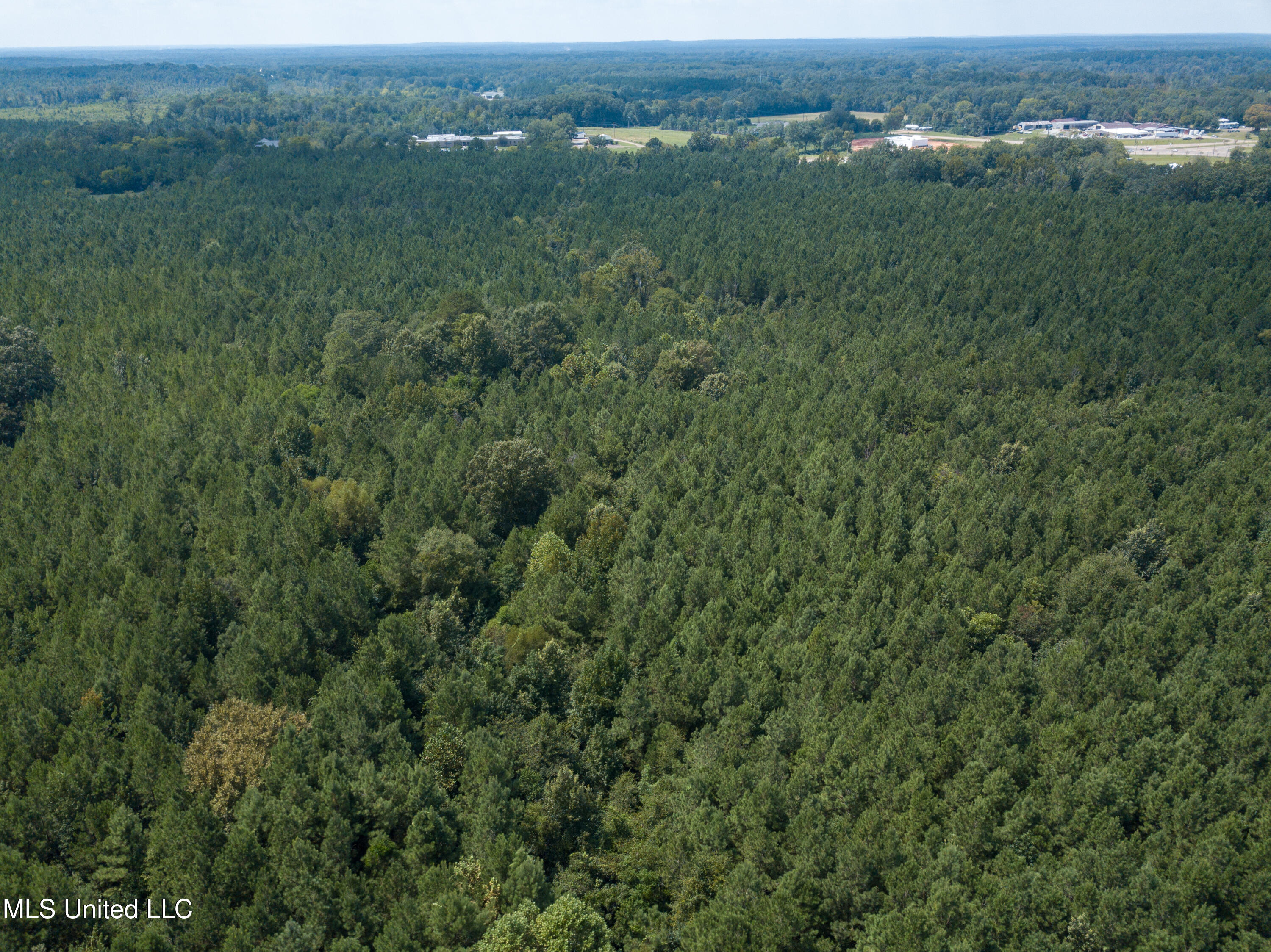 Ms-13 Morton, MS 39117 - Photo 23 of 45 DJI_0605