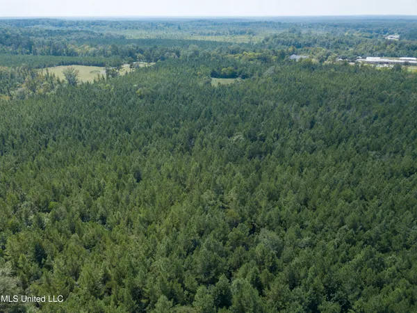 $396,000 | Ms-13, Morton, MS 39117