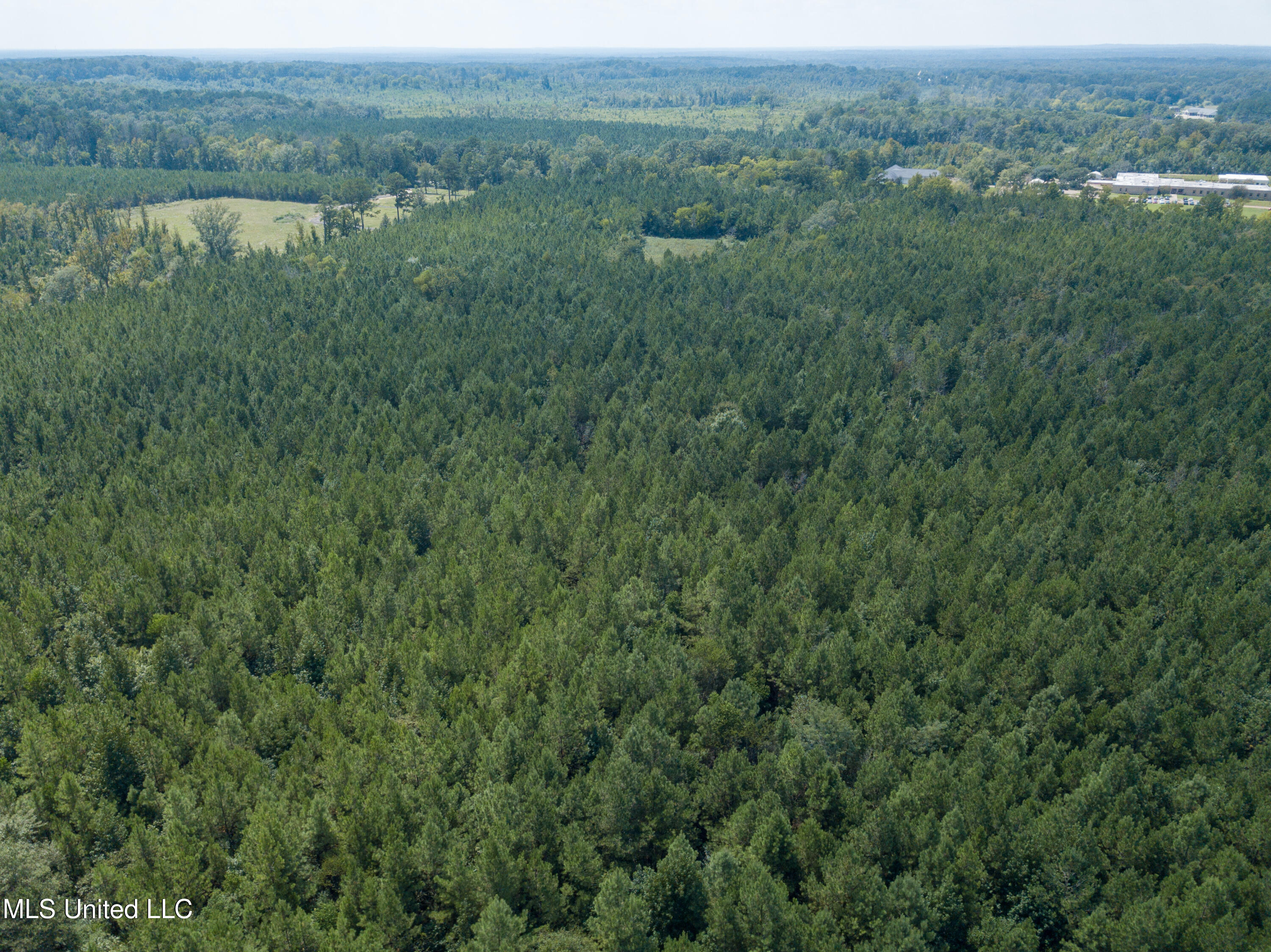 Ms-13 Morton, MS 39117 - Photo 24 of 45 DJI_0606
