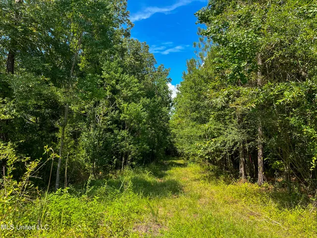 $396,000 | Ms-13, Morton, MS 39117