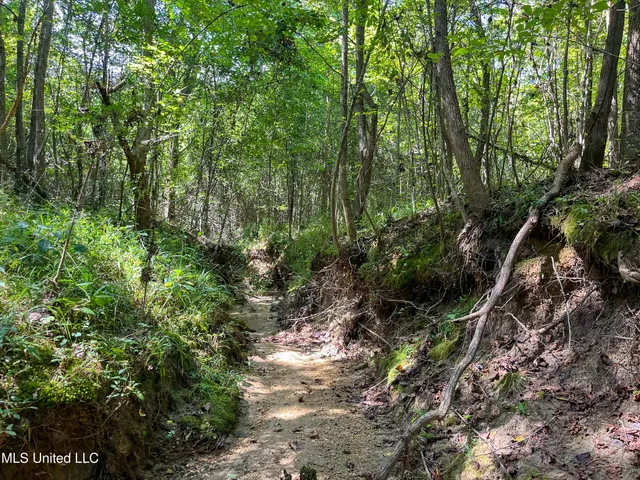 $396,000 | Ms-13, Morton, MS 39117