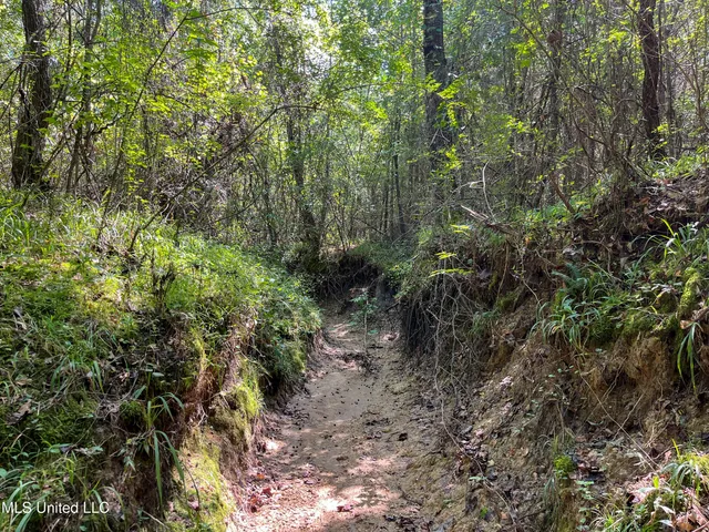 $396,000 | Ms-13, Morton, MS 39117