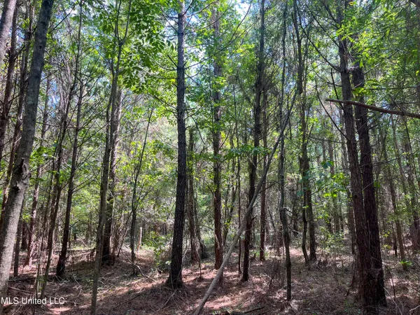 $396,000 | Ms-13, Morton, MS 39117