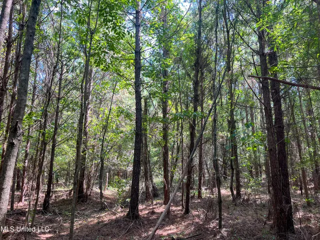 $396,000 | Ms-13, Morton, MS 39117