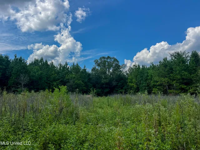 $396,000 | Ms-13, Morton, MS 39117