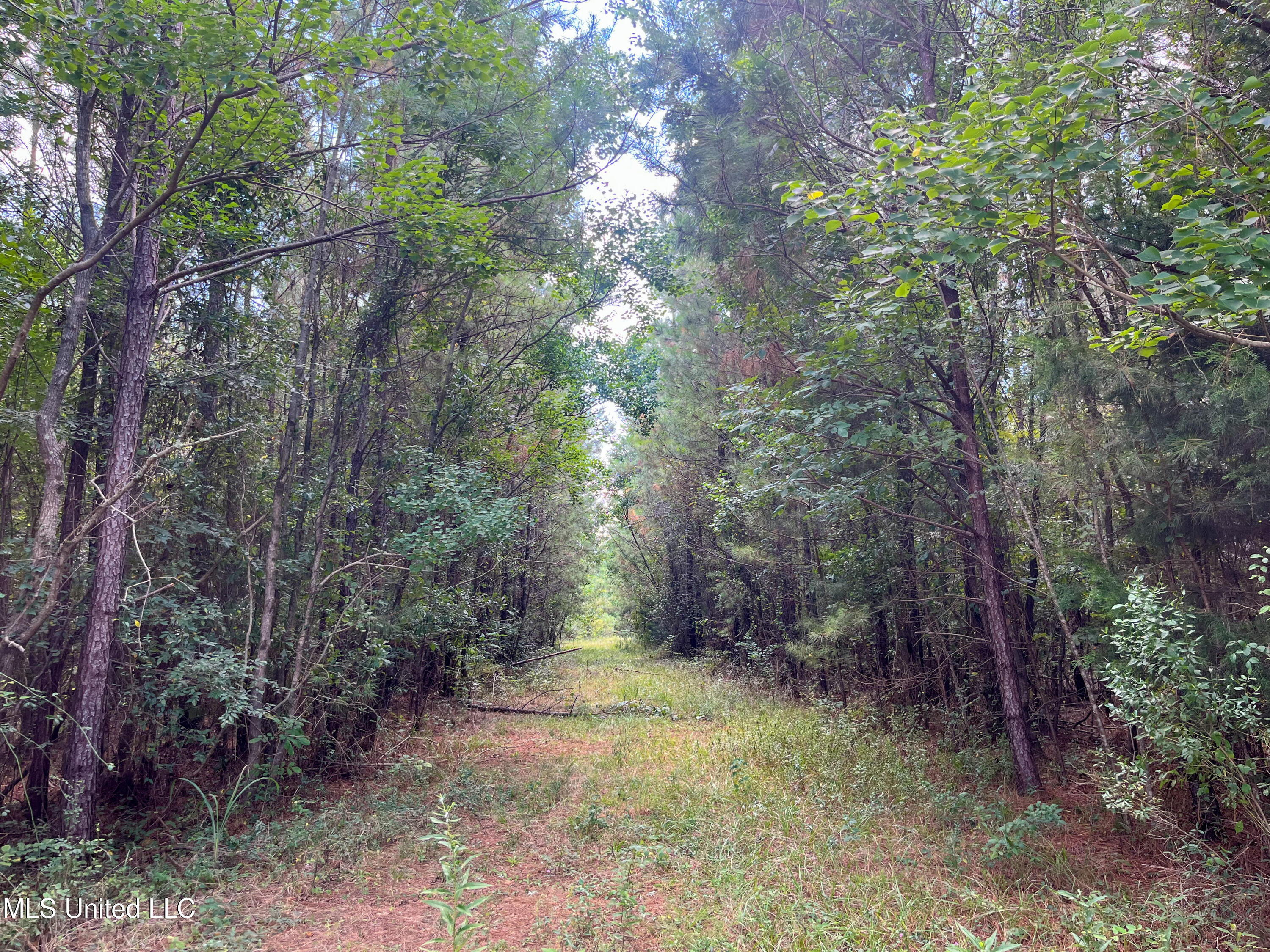 Ms-13 Morton, MS 39117 - Photo 35 of 45 IMG_0821
