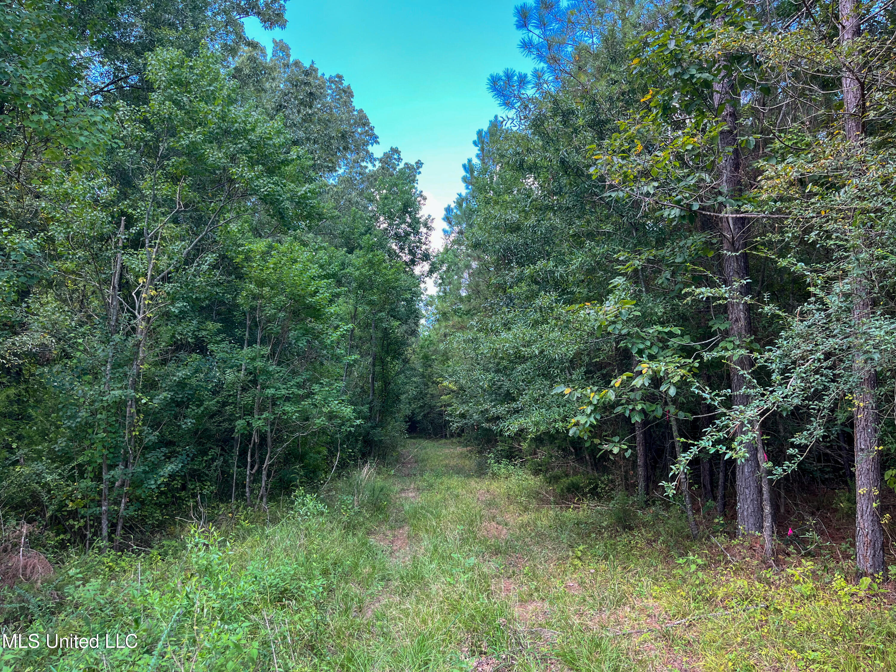Ms-13 Morton, MS 39117 - Photo 36 of 45 IMG_0823