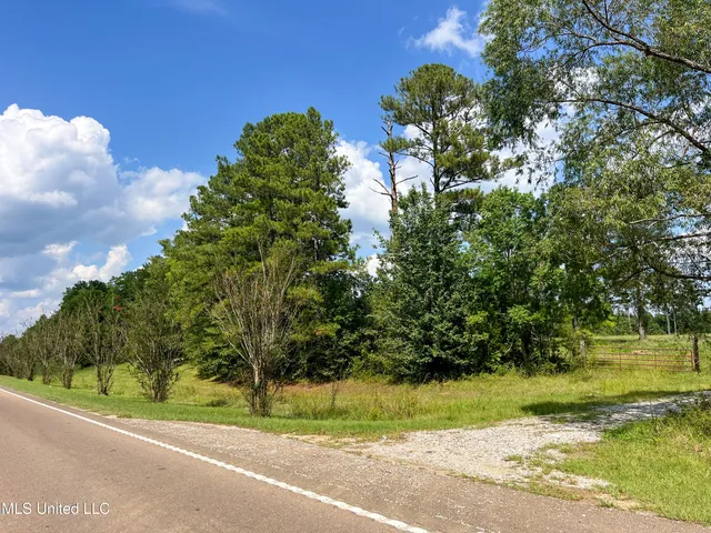 $396,000 | Ms-13, Morton, MS 39117